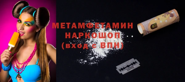 прущие грибы Касимов