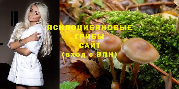 MESCALINE Карпинск