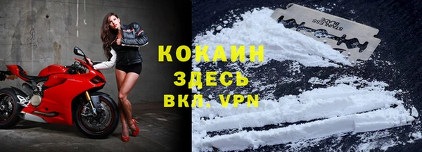 ГАЛЛЮЦИНОГЕННЫЕ ГРИБЫ Киреевск