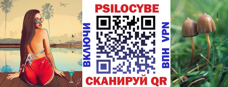 Купить  Карабаново  Псилоцибиновые грибы мицелий 